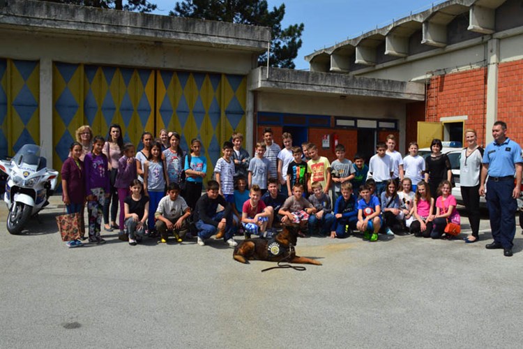 Slika 2015/IMAM IZBOR 8 KOTORIBA/DSC_0676.JPG